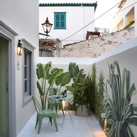 Cactus Hydra - Art Hotel *