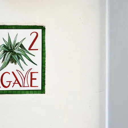 Cactus Hydra - Art Hydra (Saronic Islands)