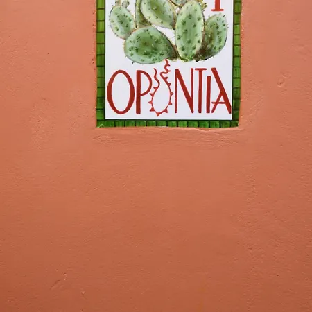 Cactus Hydra - Art Hotel