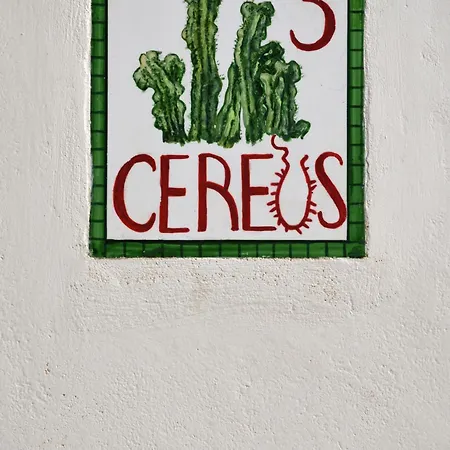 Cactus Hydra - Art Hotel *